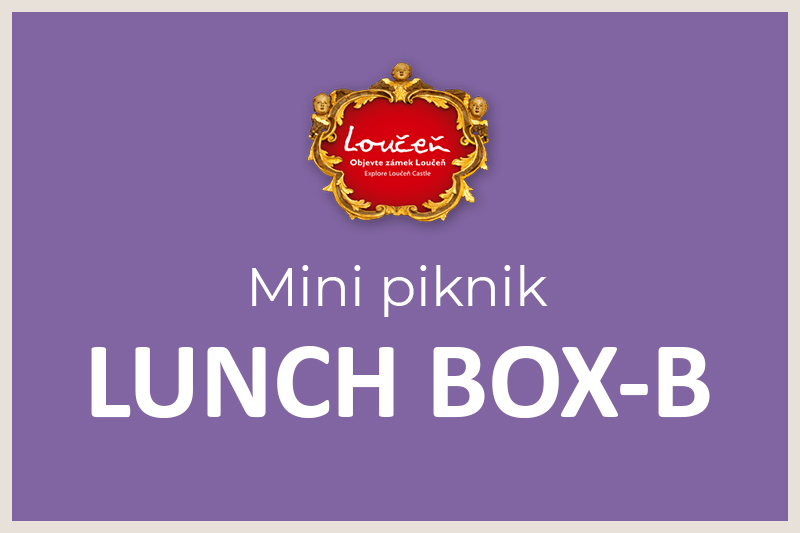 MINI PIKNIKOVÝ Lunch Box *B*